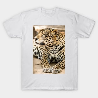 cbs big cat T-Shirt